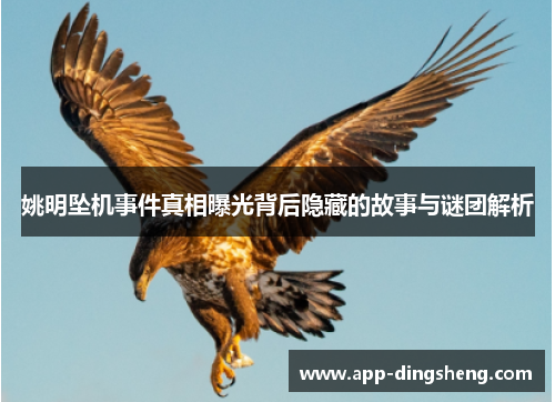 姚明坠机事件真相曝光背后隐藏的故事与谜团解析