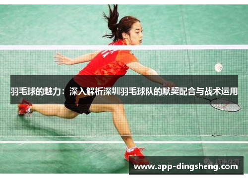 羽毛球的魅力：深入解析深圳羽毛球队的默契配合与战术运用