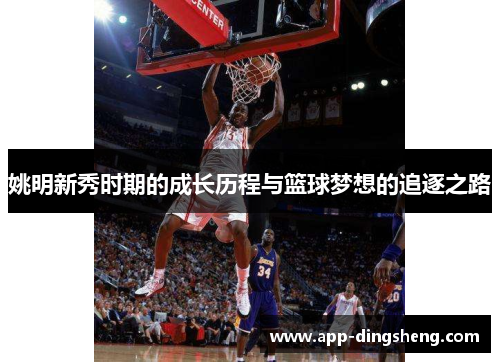 姚明新秀时期的成长历程与篮球梦想的追逐之路