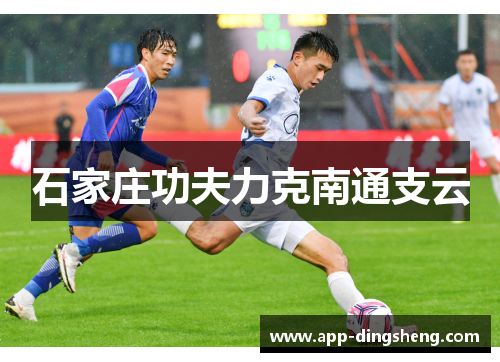 石家庄功夫力克南通支云